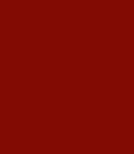 "Кремлевская стена"  RAL 3016